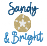Sandy & Bright Embroidered Hand Towels
